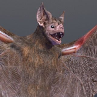 demonflyingfox thumbnail