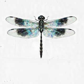 Fractured Language thumbnail