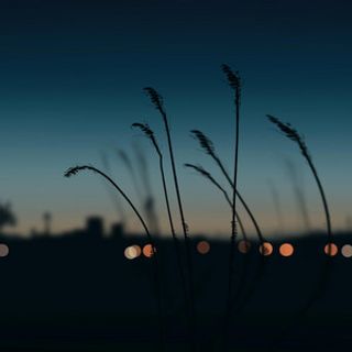 Joshua Salatandra thumbnail